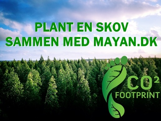 plant en skov sammen med mayan.dk